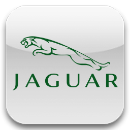 Jaguar Online
